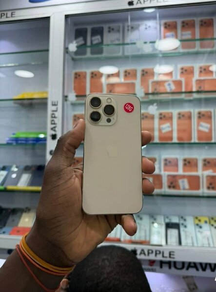 iPhone 13 Pro Max 256GB