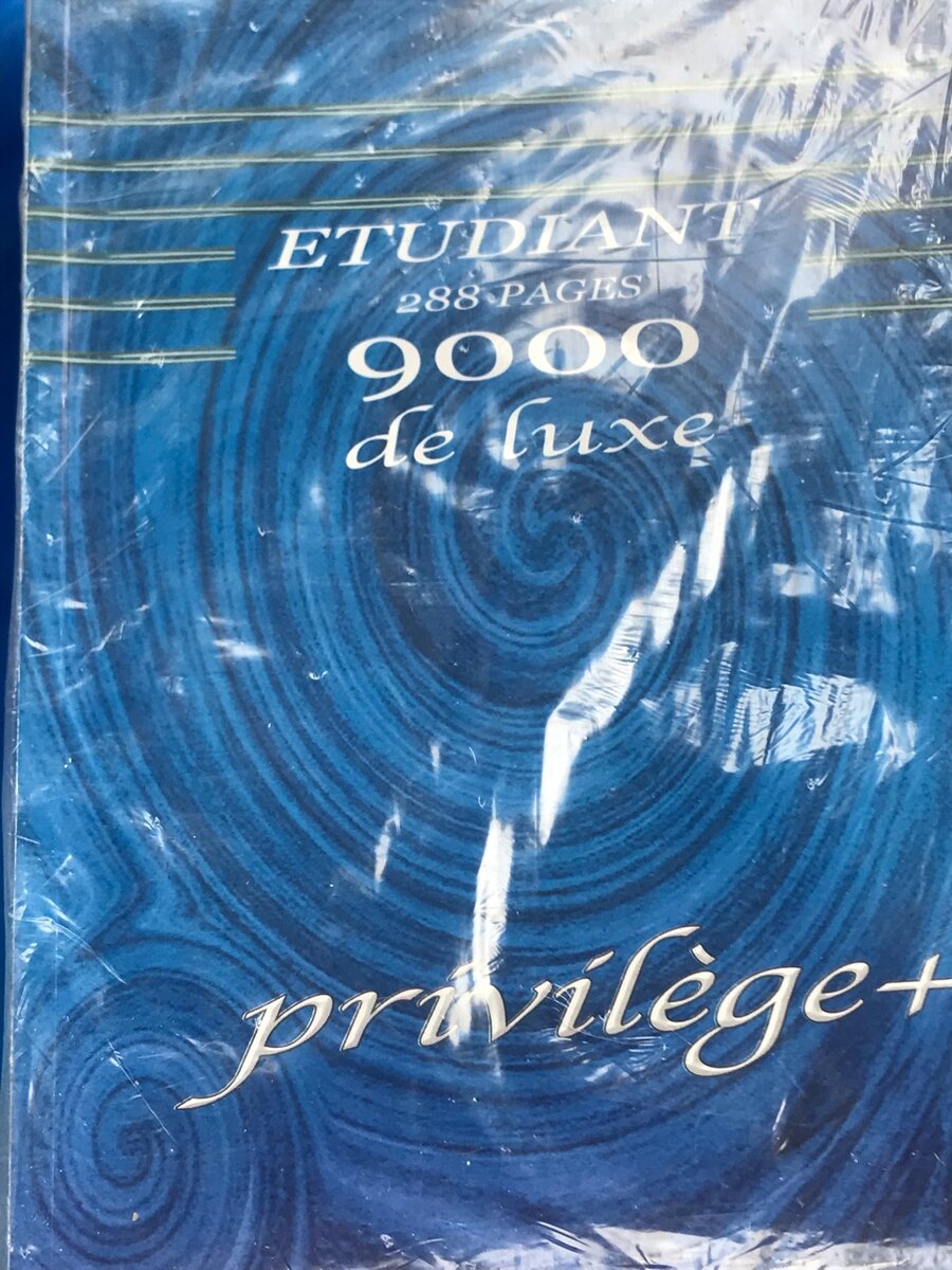 Cahiers 288p petit carreaux X5