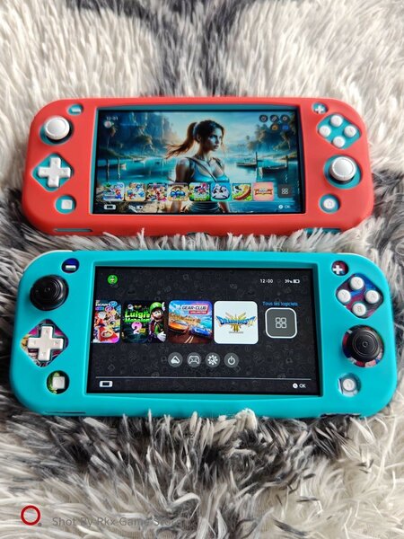 Nitendo Switch lite