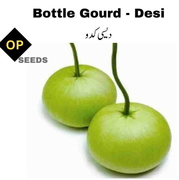 Desi Kadu Seeds (Bottle Gourd)