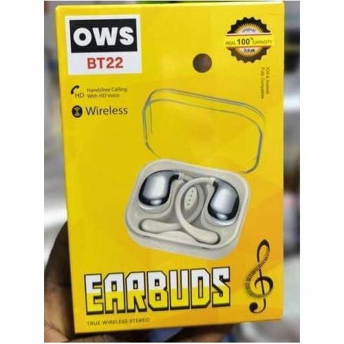Écouteurs sans fil OWS BT22