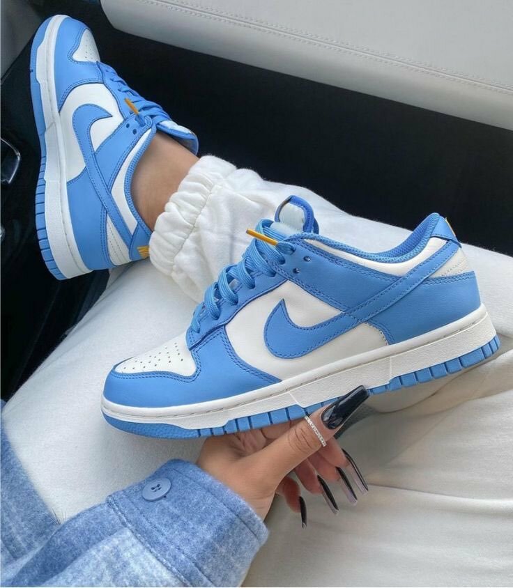 Air Nike Dunk Low Bleu