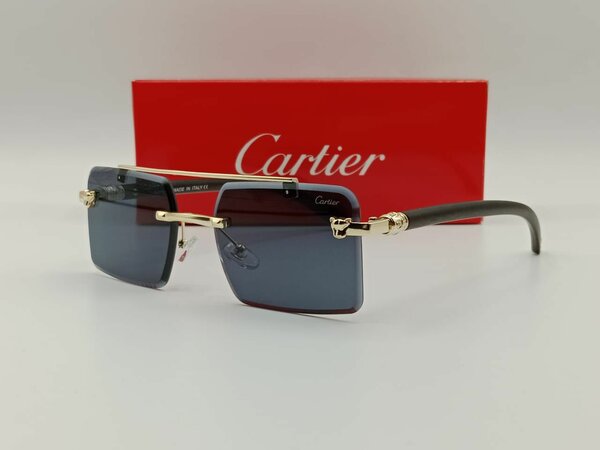 Sunglass