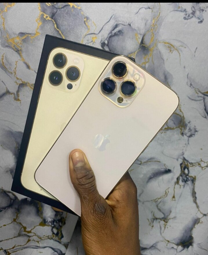 Apple iPhone 13 Pro Max