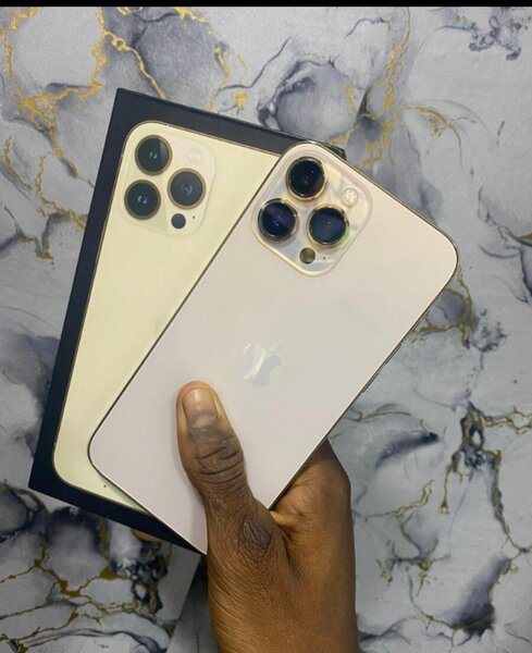 Apple iPhone 13 Pro Max