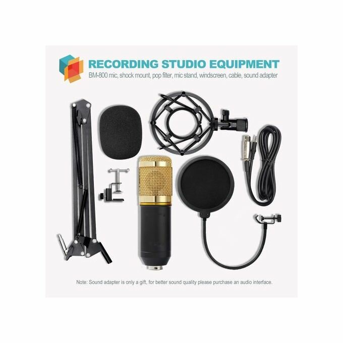 Microphone ZINGYOU BM-800