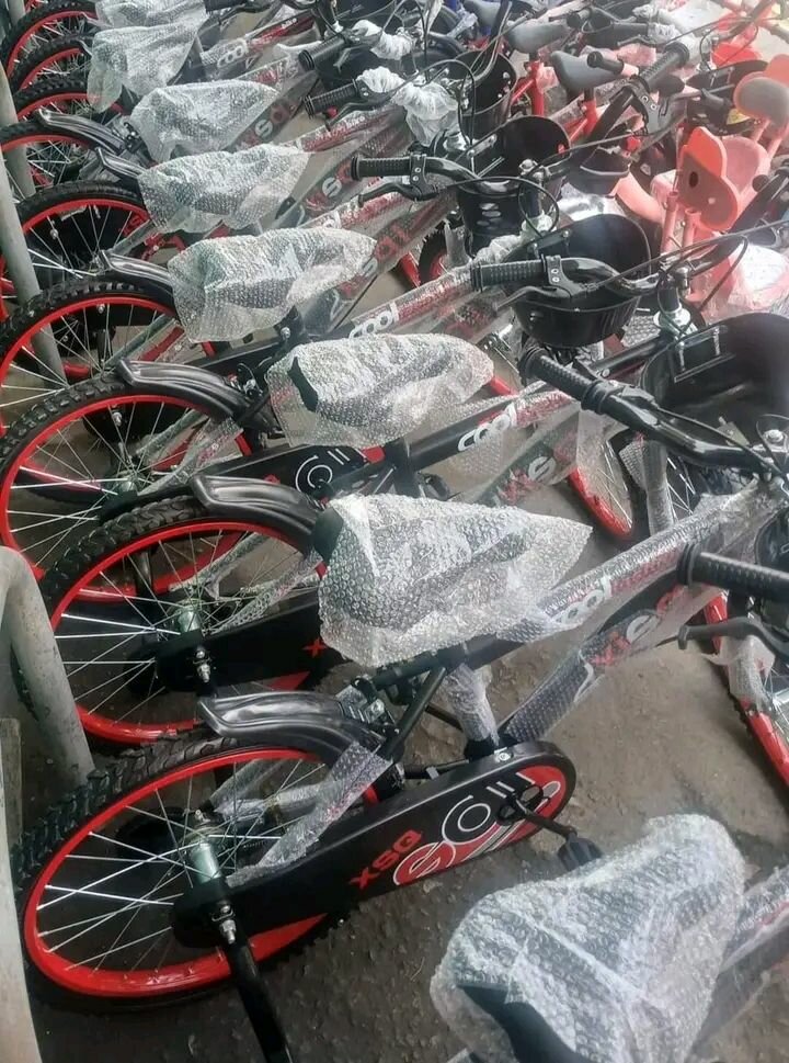 Vélos tout-terrain robustes