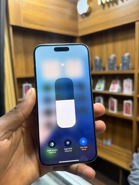 iPhone 14 Pro Max Argent