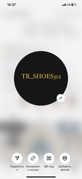 tr_shoes312