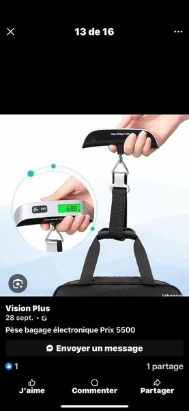 Balance électronique de bagages