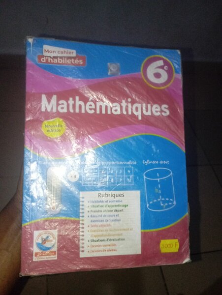 Manuels scolaires 6ème et 4ème