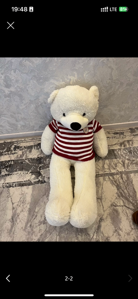 Плюшевая мишка