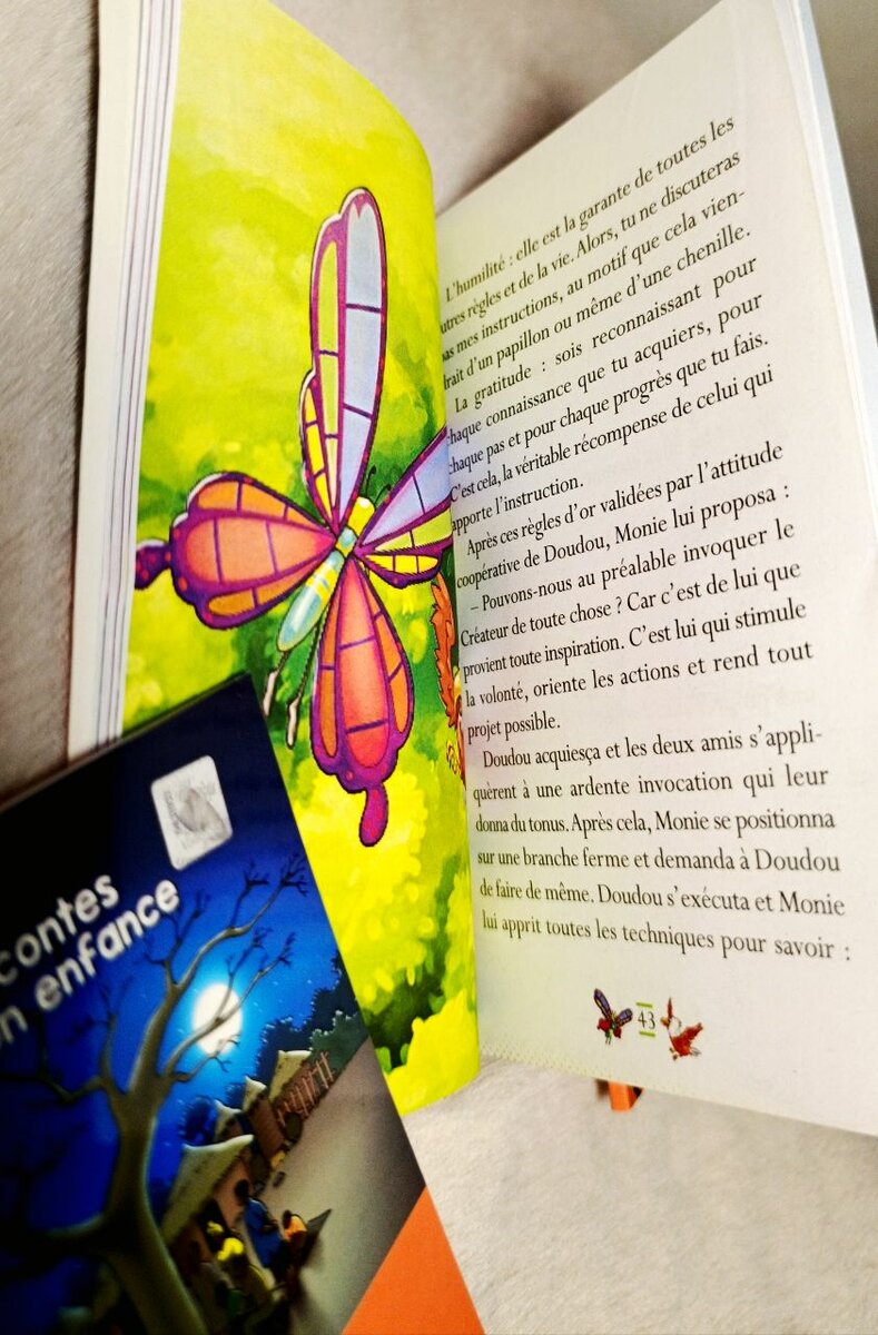 Livre jeunesse "Monie et Doudou"