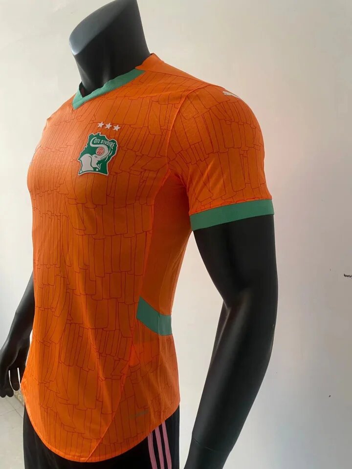 Maillot de Côte dIvoire Pro