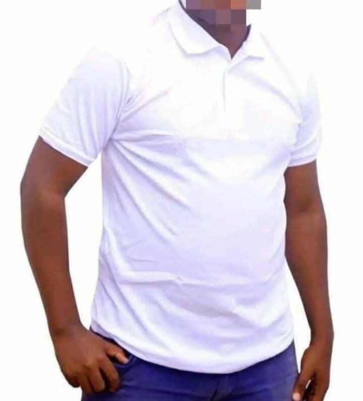 Polo classique pour hommes