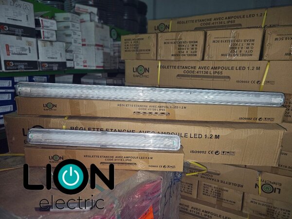 Équipements électriques Lion