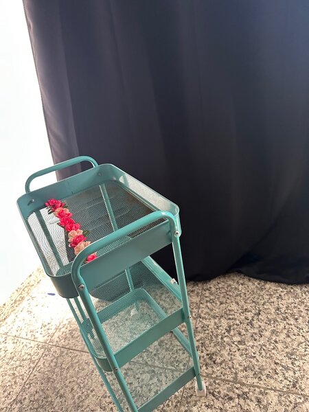 Chariot roulant multi-usage