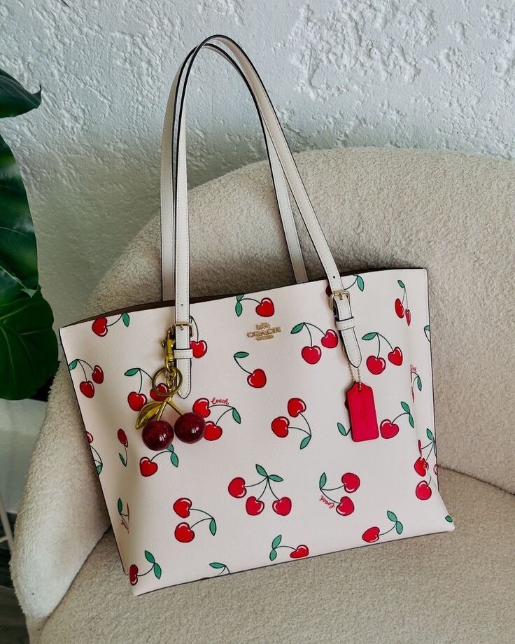 Ladies bag