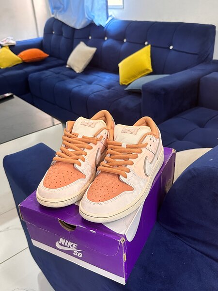 Nike SB Dunk Low "Trocadéro"