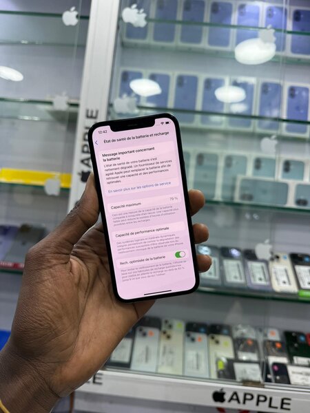 iPhone 12 Pro Bleu