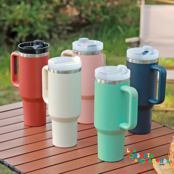 Mug de Voyage Isotherme 1L
