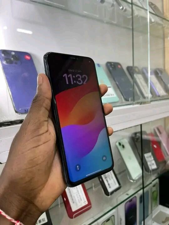 iPhone Pro Max 256GB