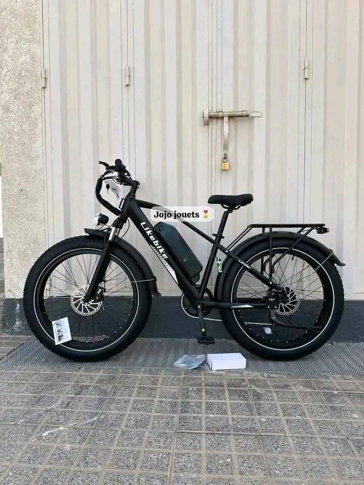 Vélo électrique tout-terrain performant