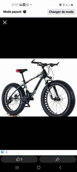Vélo Fat Bike Tout-Terrain