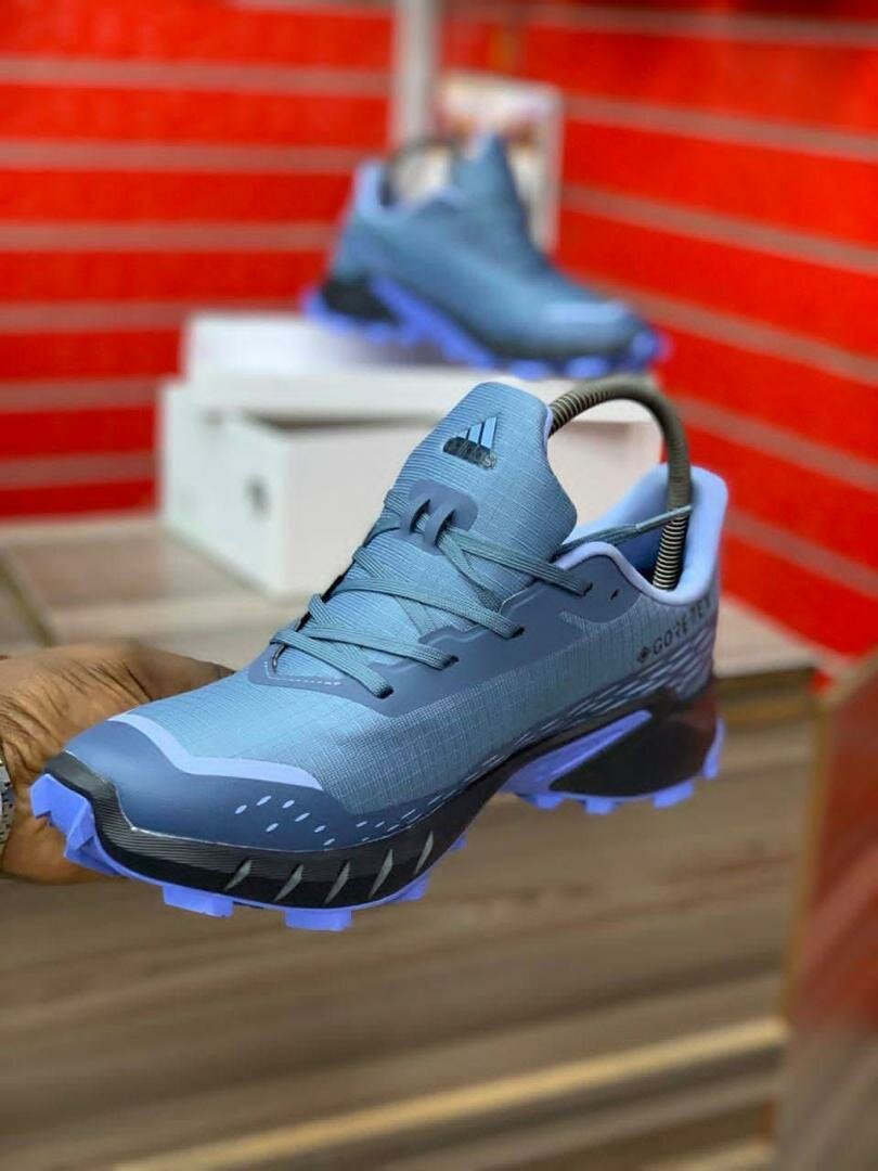 Chaussures de Randonnée Terrex