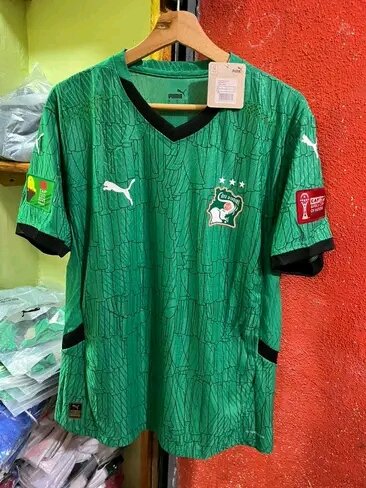 Maillot de Football Éléphants Vert