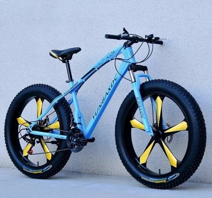 Vélo Fat Bike Tout Terrain