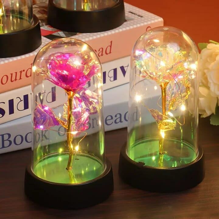 Rose Éternelle Lumineuse