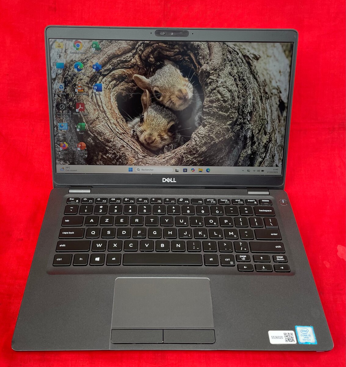Dell Latitude 7300