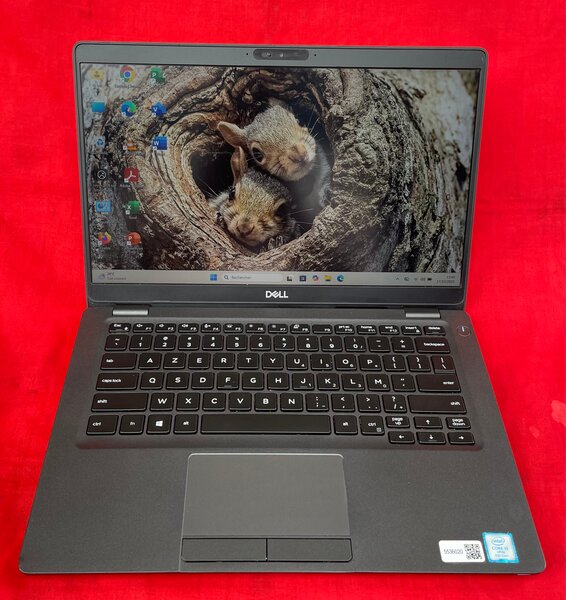 Dell Latitude 7300