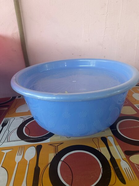 Bassine en plastique avec couvercle