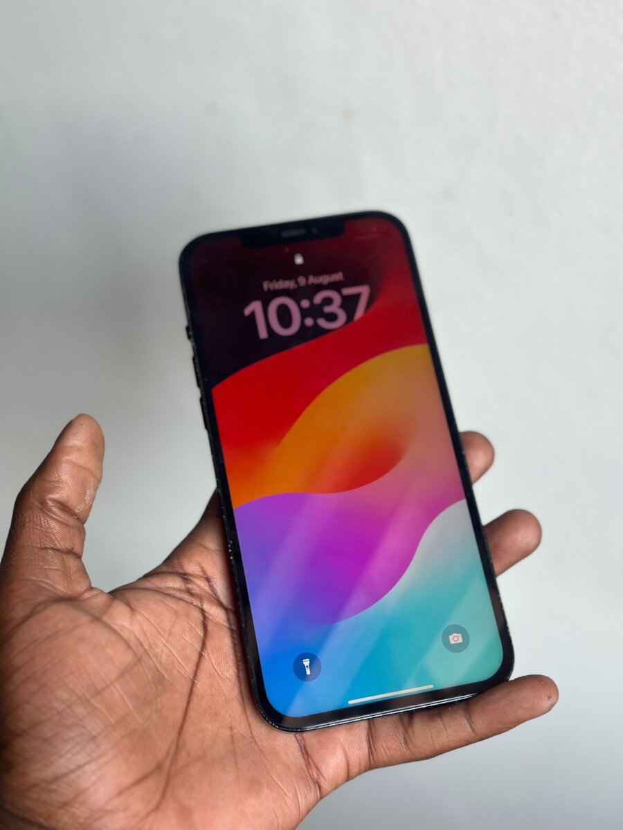 iPhone 12 Pro Max 256gb