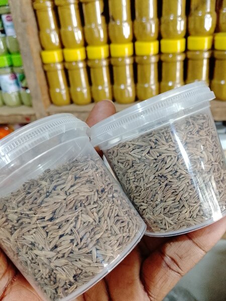 Graines de cumin fraîches