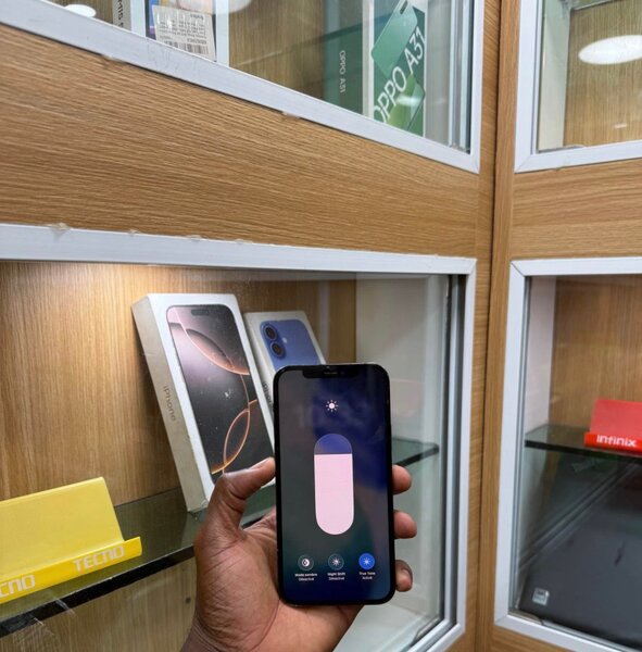 12 pro max haut de gamme