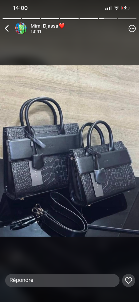 Sacs à main élégants colorés