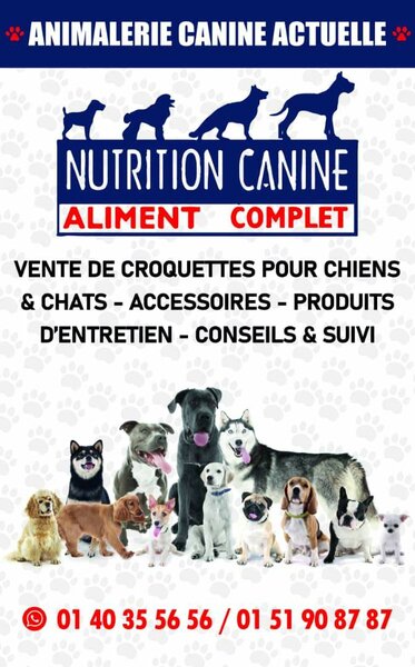 ANIMALERIE CANINE 