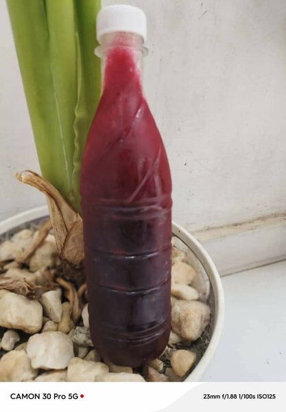 Jus 100% nature. Bissape, Tommy, gnamakou, baobab