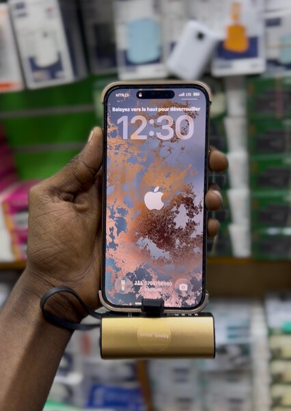 Power Bank Authentique