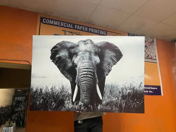 The painting on the wall is the size of 120x80cm