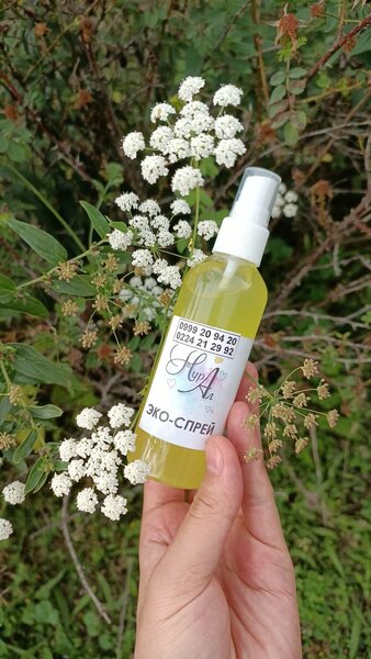 БИТКЕ КАРШЫ ТАБИГЫЙ СПРЕЙ ОТ ВШЕЙ И ГНИДОВ ТАОАК БЕЛЕКЕ