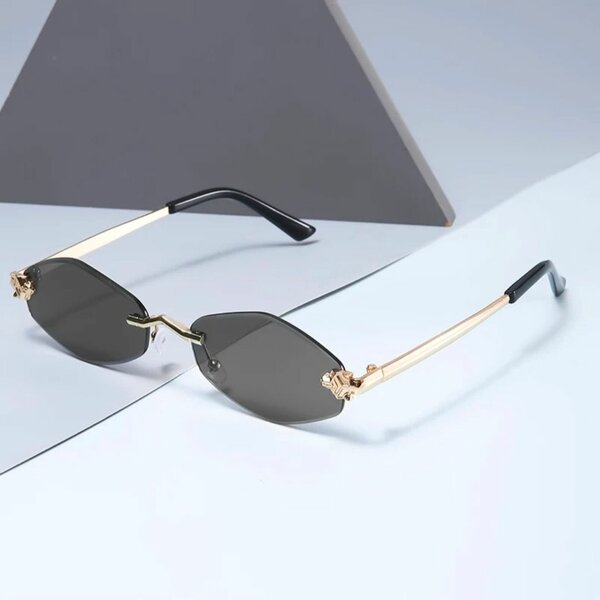 Lunettes de Soleil Élégantes