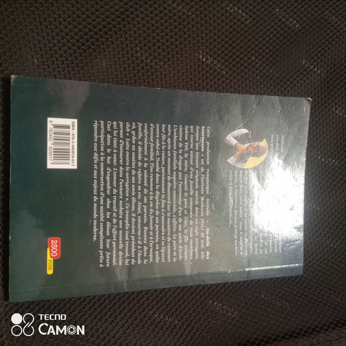 Roman Au -Dela des tourments