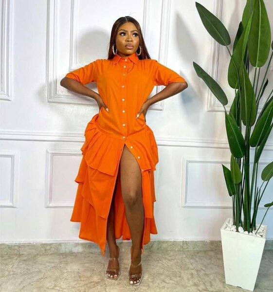 Elegant ladies dresses