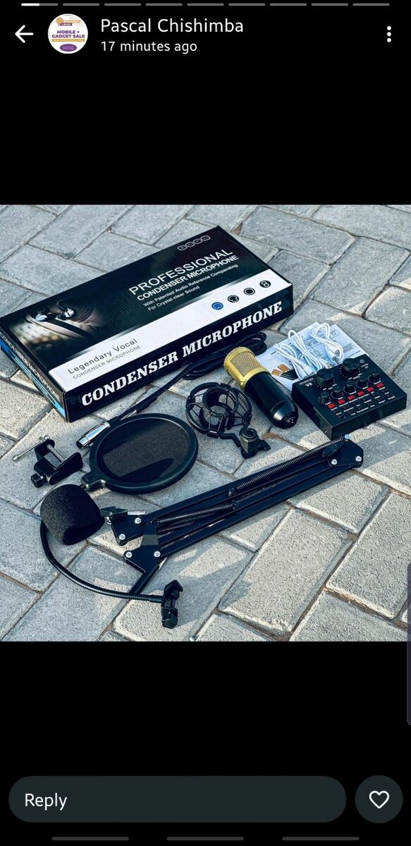 Condenser microphone