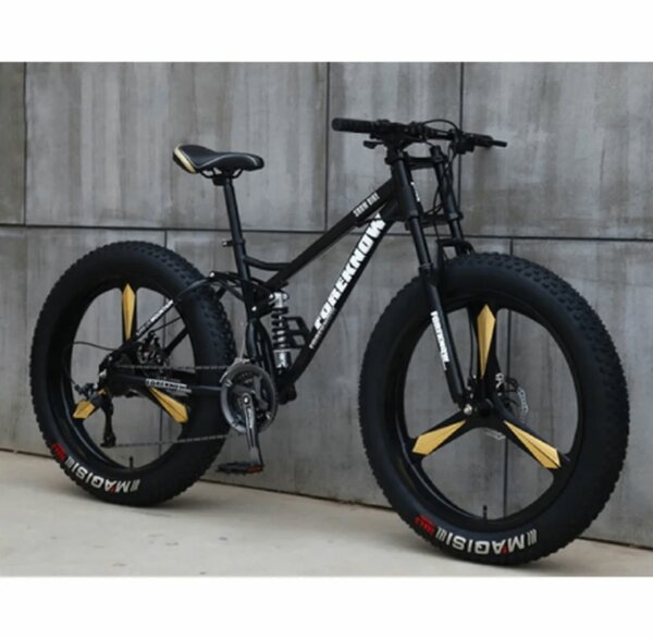 Vélo tout-terrain pliable