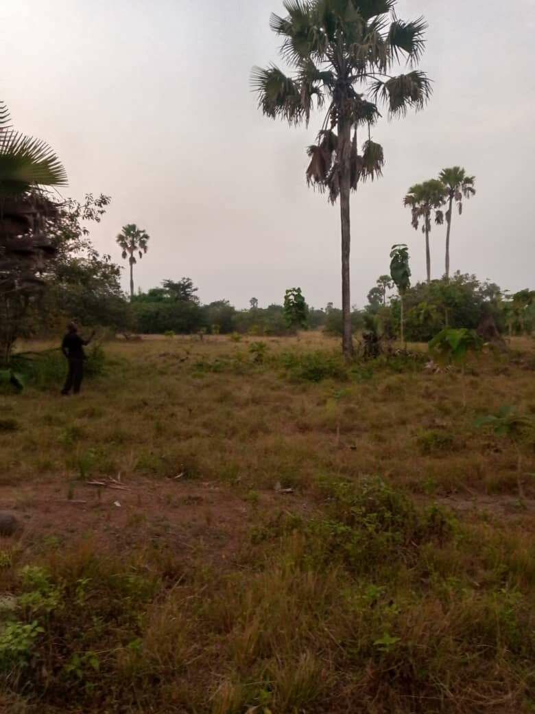 Terrain agricole 1000ha